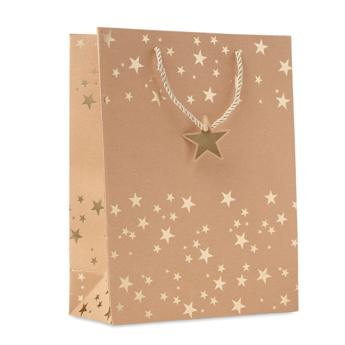 Bolsa de papel de regalo - SPARKLE