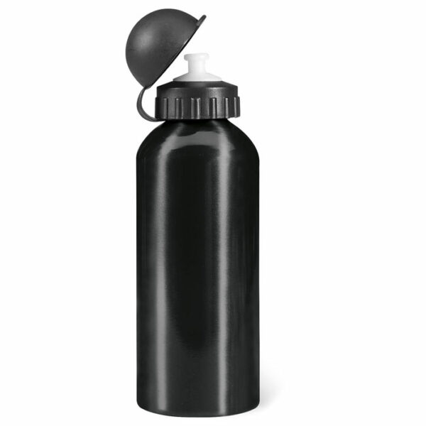 Botella de aluminio 600 ml - BISCING