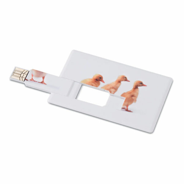 Creditcard. USB flash 4GB - MEMORAMA