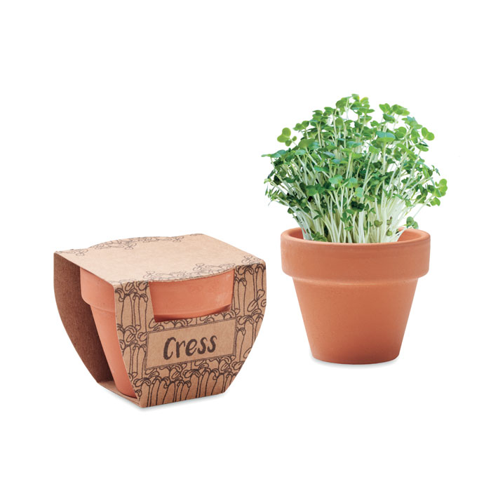 Maceta con semillas de berro - CRESS POT