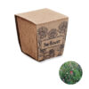 Kit de cultivo de girasoles - SUNFLOWER KIT