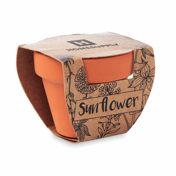 Juego de macetas de terracota - SUNFLOWER