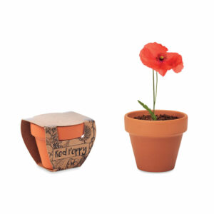 Juego de macetas de terracota - RED POPPY