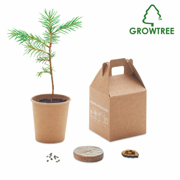 Set pino - GROWTREE™