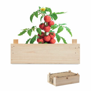 Mini-huerto tomates en caja - TOMATO