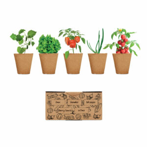 Kit de cultivo de verduras - SALAD