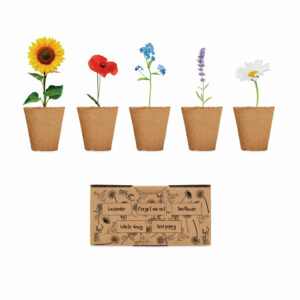Kit de cultivo de flores - FLOWERS